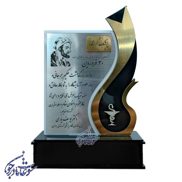 تندیس دندانپزشک | تندیس روانپزشک | مدل پلکسی - Image 4