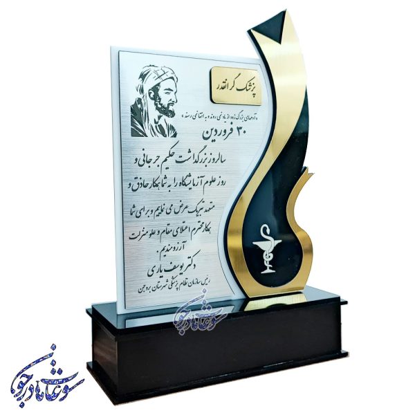تندیس دندانپزشک | تندیس روانپزشک | مدل پلکسی - Image 1