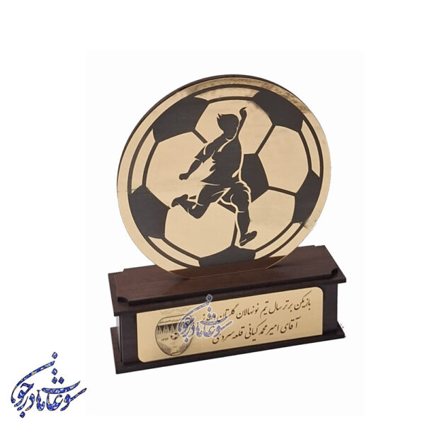 تندیس ورزشی سایز کوچک - Image 6